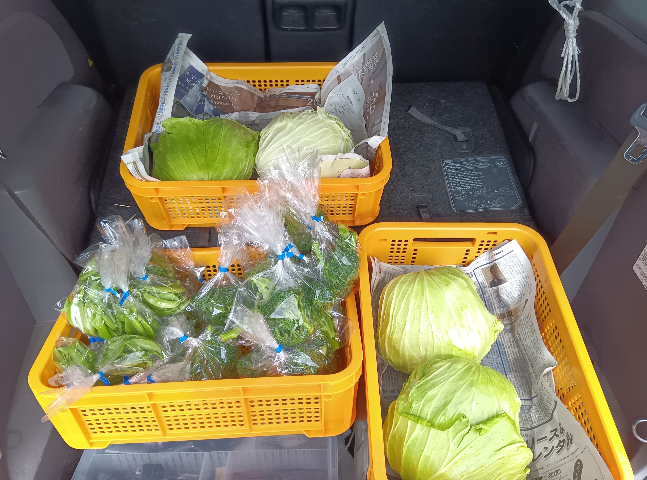 配食事業＆福利厚生 - 株式会社Individuality Care株式会社